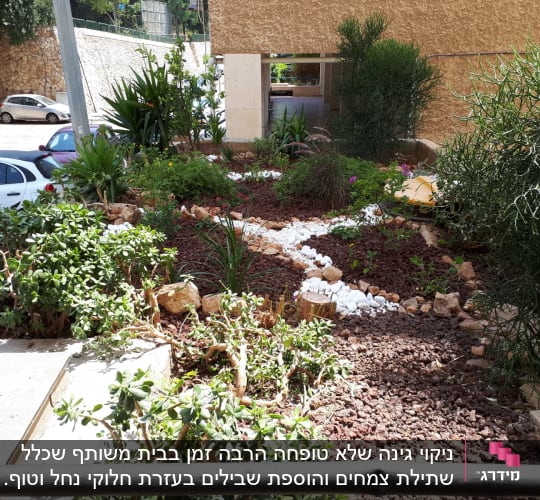 גינה עם צמחים, אבנים לבנות ואדמה חומה